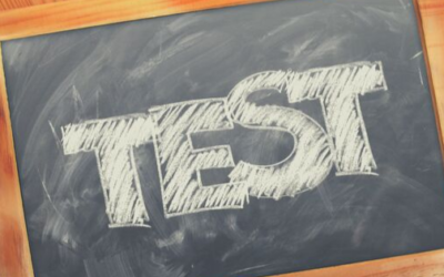 Do test scores matter?